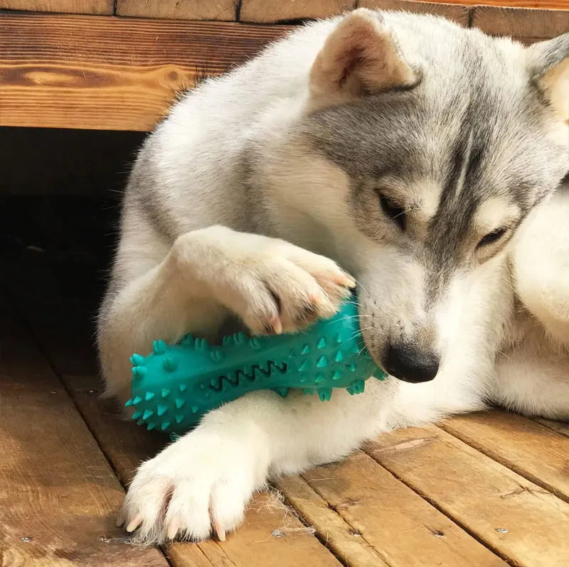 Rubber Dog Chew Toy Teeth Cleaning Pet Toothbrush Chewing Stick Toys for Dog Chew Toy Elasticity Soft Pet Tooth Cleaning