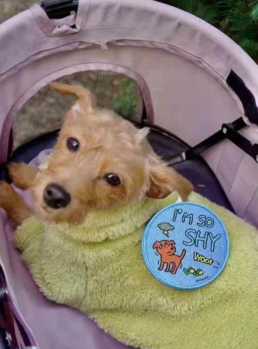 Dog Accessories Leash Chest and Back Pet Character Social Stickers Velcro Signage Warning Signs Personalized Logo Decoration