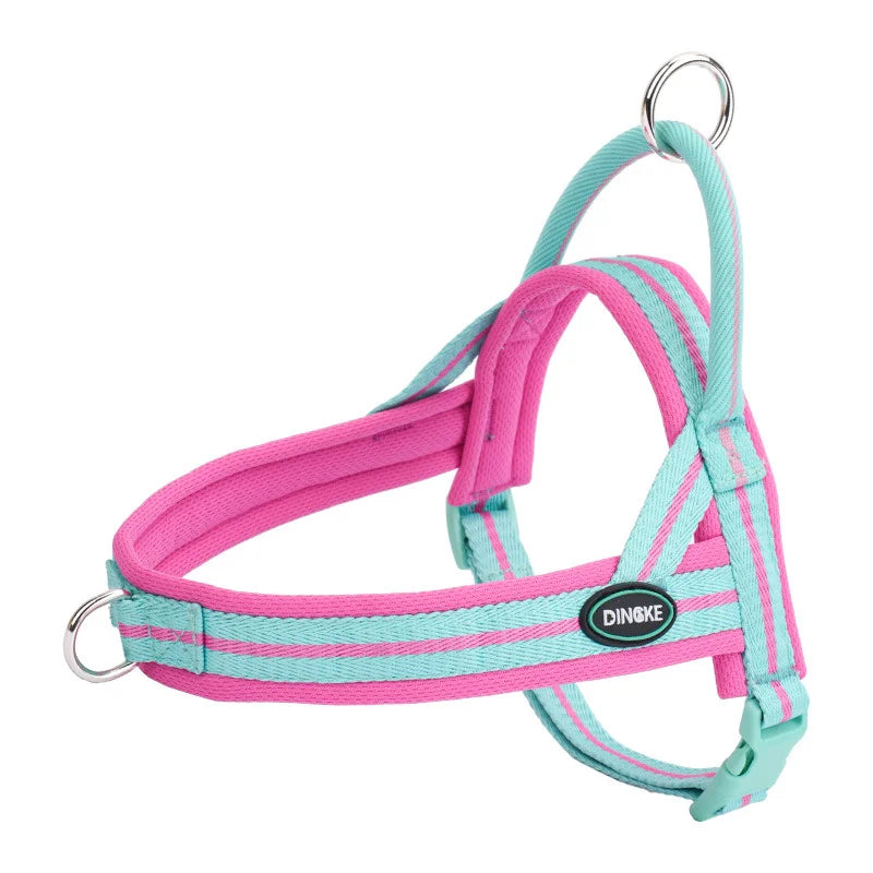 OODUDUOO Summer Saddle-Style Dog Harness with Leash for Small to Medium Dogs  Corgis  French Bulldog  Chihuahua Dog accessories