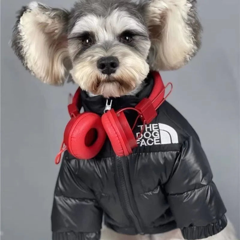 Pet Dog Accessories Dogs Winter Clothes Small Breeds Soft Medium Luxury Clothing Cute York Pets Acessorios Dachshund Dress Goods