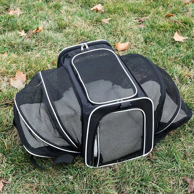 Cat Bag Carriers Outdoor Bag Transporter Portable Handbags Small Foldable Dog Cat Accessories Travel Car Carrying Pet Moving Bag