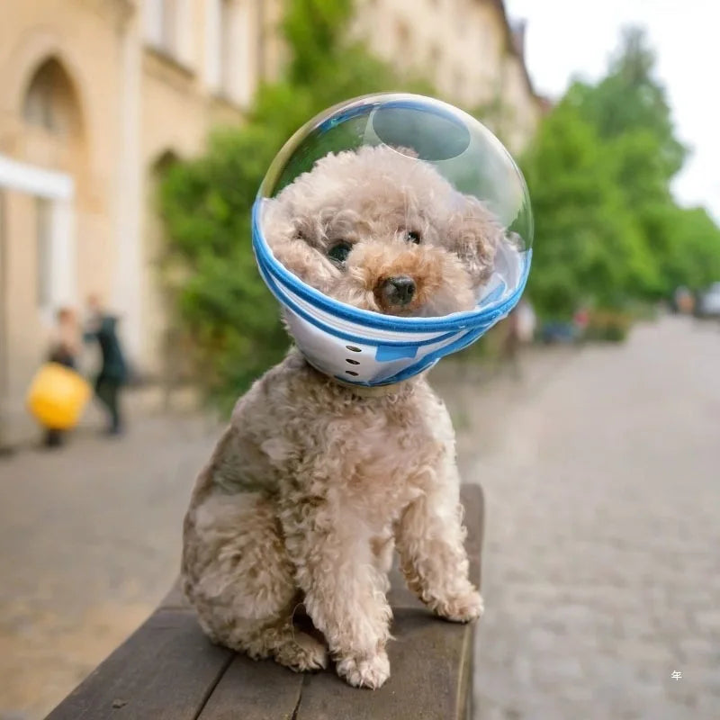 Elizabethan Space Dog Collar Prevents Liing Biting And Foot Chewing Anti-Colion Ne Ring for Blind Dogs Universal Dog Accessories