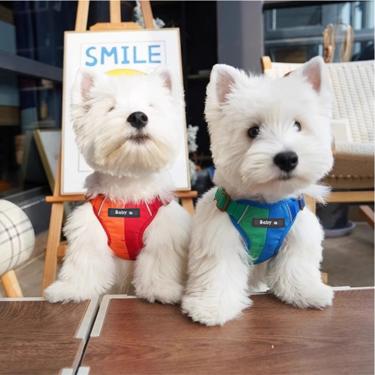 Dog Harness Leash Set Reflective Adjustable Pet Chest Strap Small Medium Dog Puppy Colorful Harness Cat Collars Dog Accessories