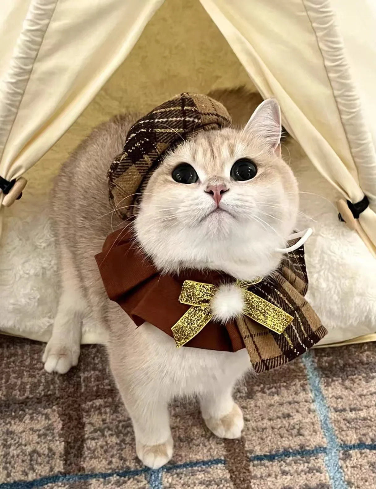 Pet Christmas Cat Dog Octagonal Hat Cute Plaid Shawl Dog Collar Bib Set Pet Decoration Dog Accessories for Small Dogs Puppy