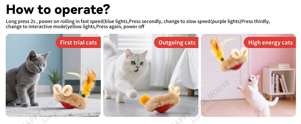 3 in 1 Cat Toy Interactive Ball for Indoor Cat  Game Toys, Cat Toys Electric, Automatic Cat Toy, Cat Toys Moving