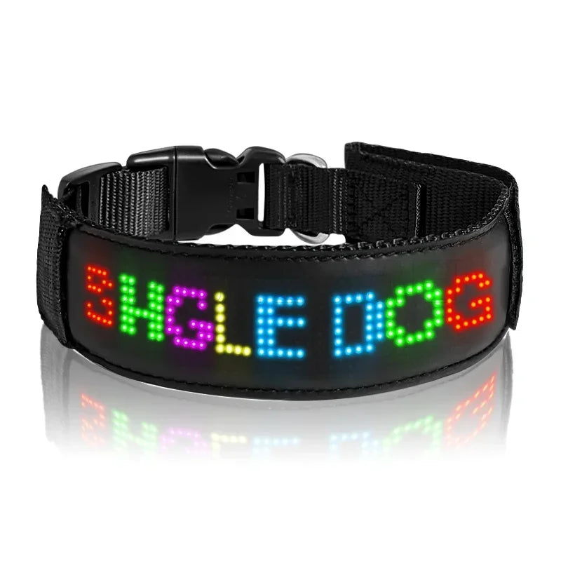 2025 Pet Dog Collar LED Night Safety Multilingual Flashing Glow In The Dark Leash Luminous Adjustable dog accessories collar Usb