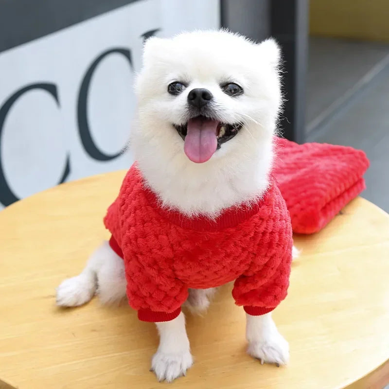 Small Dog Clothes Autumn Winter Puppy Warm Coat Small Medium Dog Cat Pullover Chihuahua French Bulldog Clothes Dog Accessories