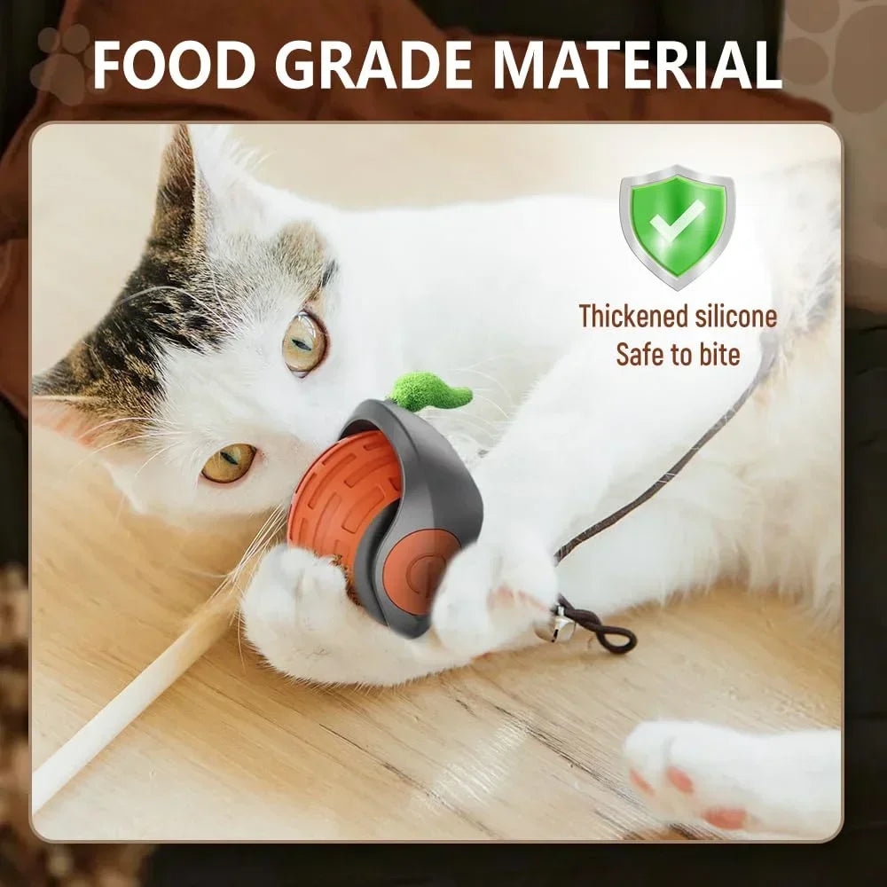 Speedy Tail 2.0 Interactive Cat Toy Balls Touch Motion Activated Rolling Ball with Type C Cord Tail for Indoor & Outdoor Cats