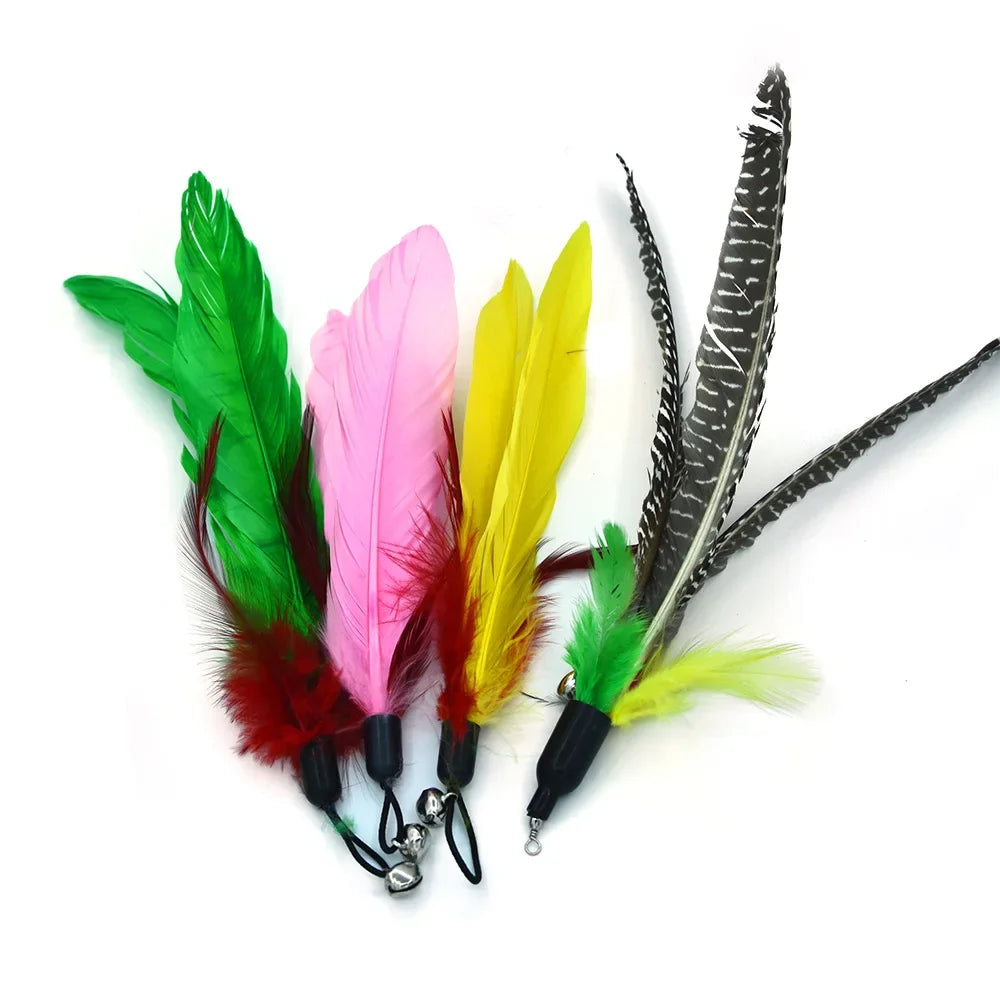 10 Pack Retractable Fishing Rod Funny Cat Stick Caterpillar Feather Replacement Head Cat Toy Cat Toys Interactive Pet Products