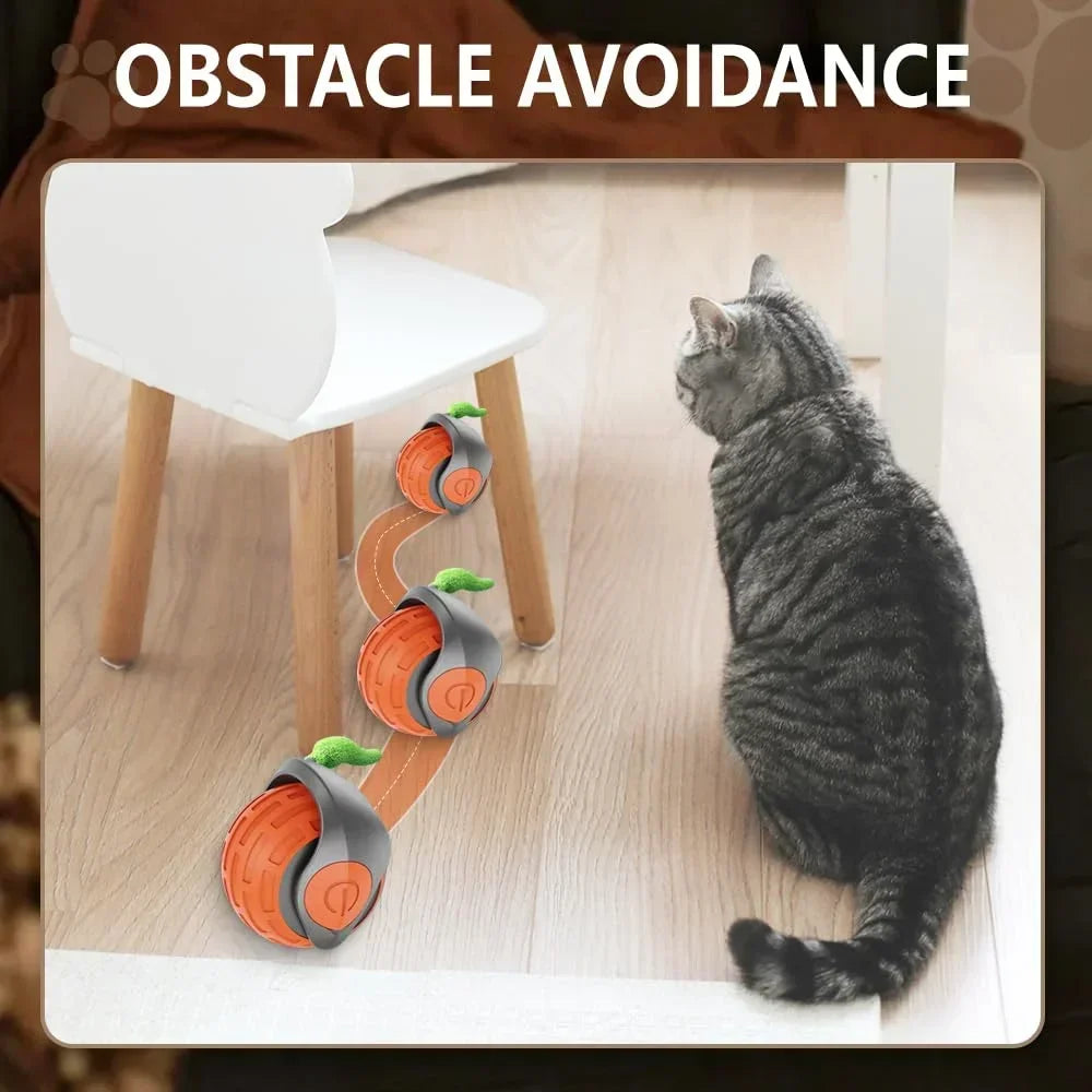 Speedy Tail 2.0 Interactive Cat Toy Balls Touch Motion Activated Rolling Ball with Type C Cord Tail for Indoor & Outdoor Cats