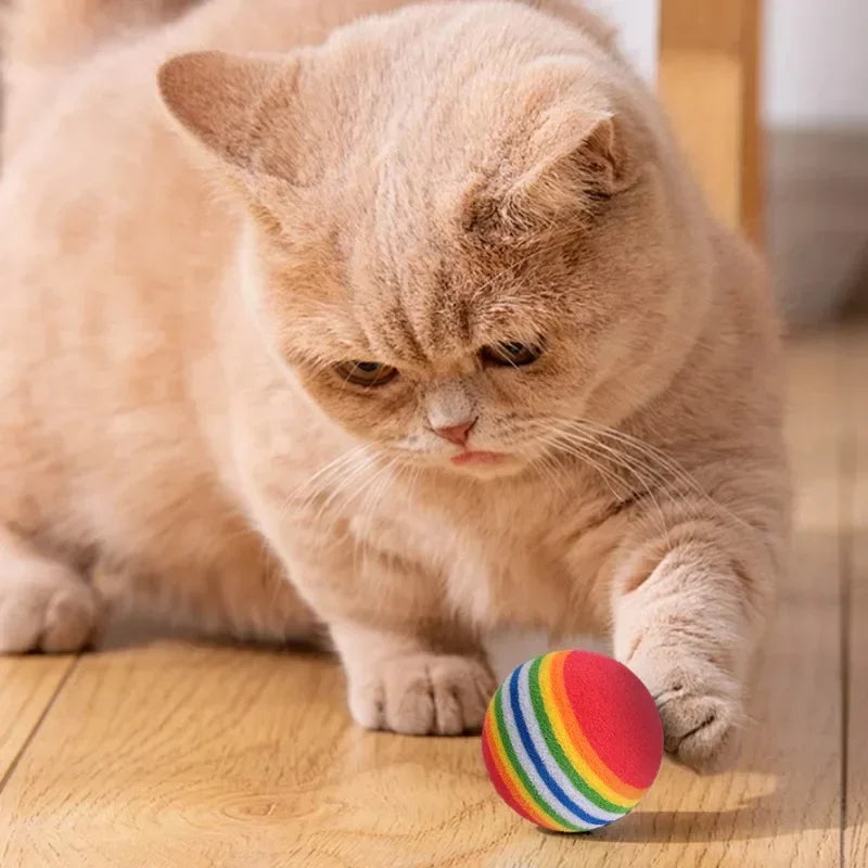 100/10PCS Pet Toy Balls Interactive Rainbow EVA Balls Cat Dog Training Toys Soft Automatic Jumping Balls Pet Playing Supplies