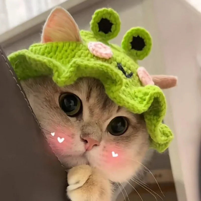 Hand-made Cat Hat Elastic Woven Cap Pet Hat Puppy Kitten Headwear Knitted Hat Party Photo Shoot Props Decoration Cat Accessories
