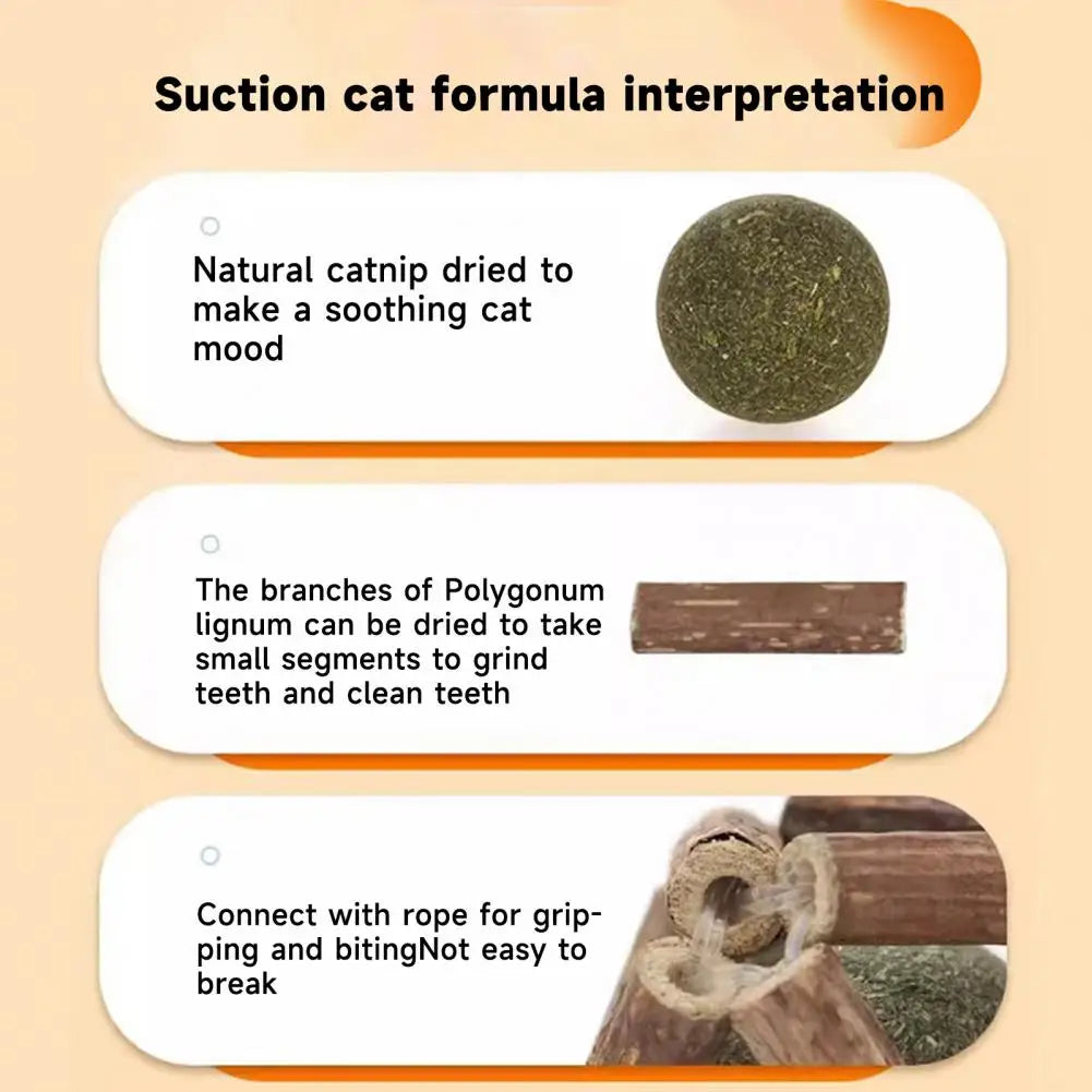 Catnip Silvervine Cat Toys Plaque Tartar Elimination Toys Natural Catnip Silvervine Ball Toy Set for Dental for Indoor for Teeth