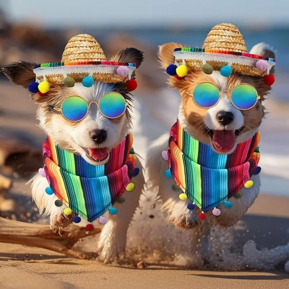 Cat Accessories Adjustable Pet Hat Scarf Multicolor Mexican Style Dog Bandanas with Glasses Pet Bibs Hairball Grass Hat