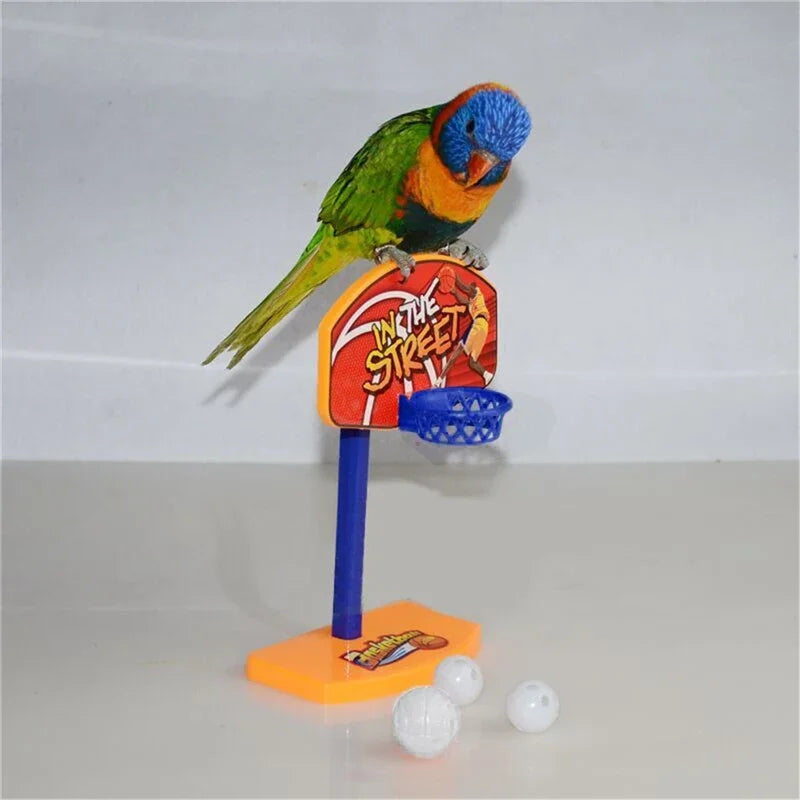 New 3pcs Balls Pet Birds Chew Toy Parakeet Bell Balls Parrot Toys Birdie Basketball Hoop Props Pet Parrot Pet Products Supplies