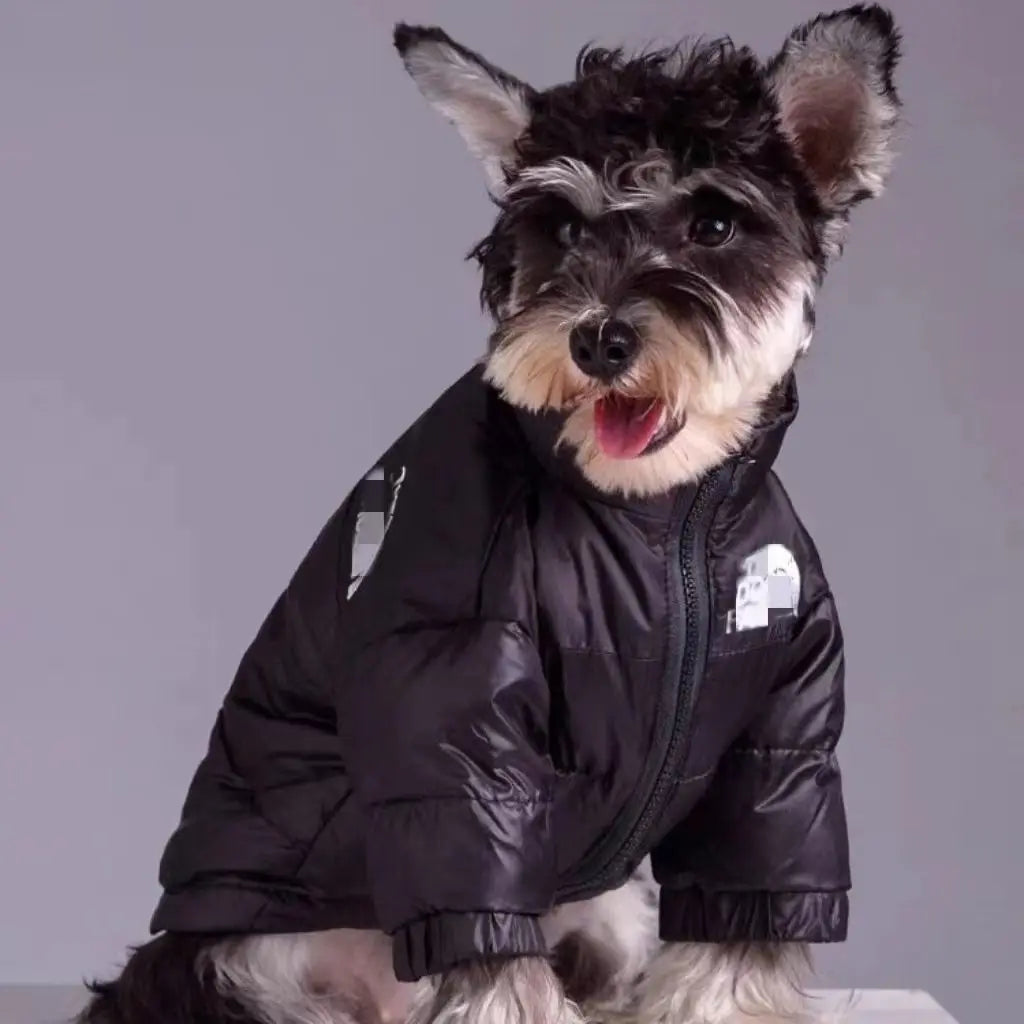 Pet Dog Accessories Dogs Winter Clothes Small Breeds Soft Medium Luxury Clothing Cute York Pets Acessorios Dachshund Dress Goods