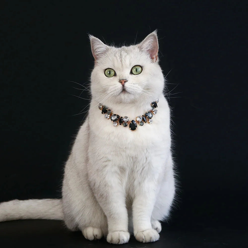 Pet Cat Accessories Luxury Cat Crystal Chain Necklace Adjustable Wedding Diamond Collar for Small Dogs Kitten Cat Puppy Necklace
