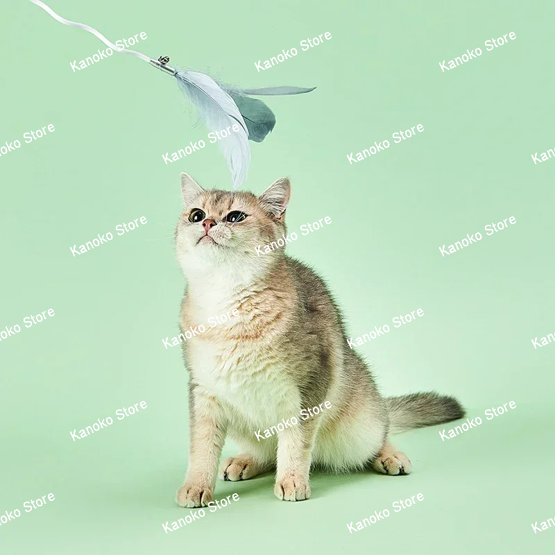 PETKIT Cat Stick Cat Toys Bite Resistant Toys Cat Set Cat Accessories  Material Is Tough Not Easy To Break Cat Interactive Toy