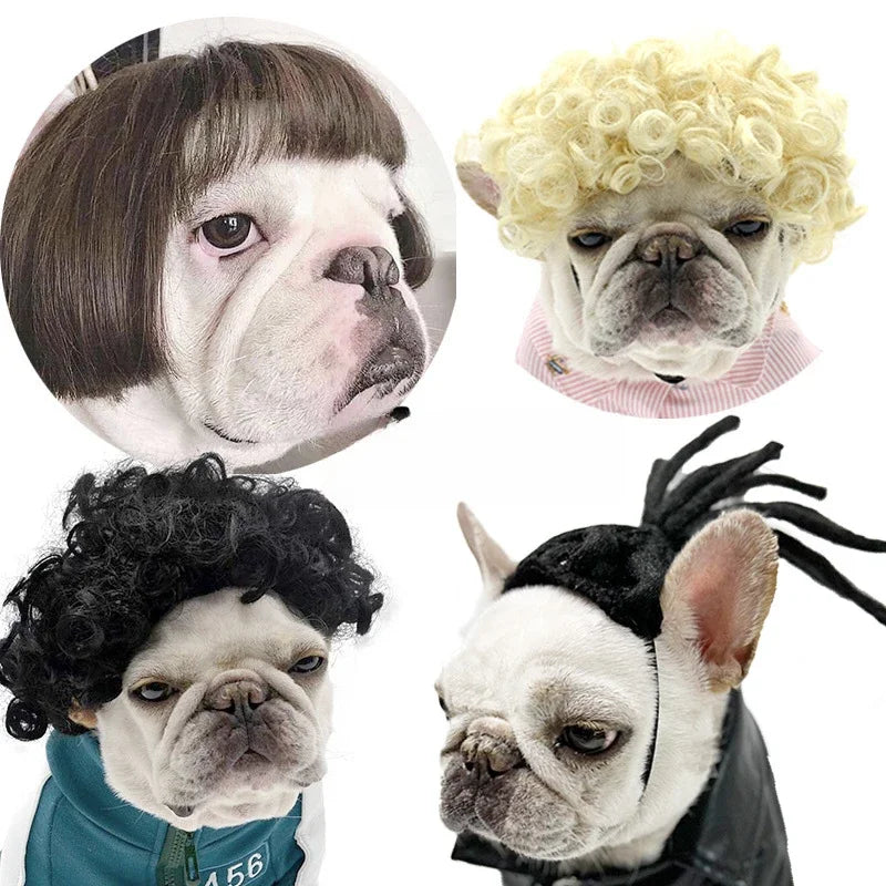 Funny Pet Cosplay Dog Wig Cat Grooming Supplies Fashion Headwear Halloween Curly Hair Straight Hair Cat Accessories Perros