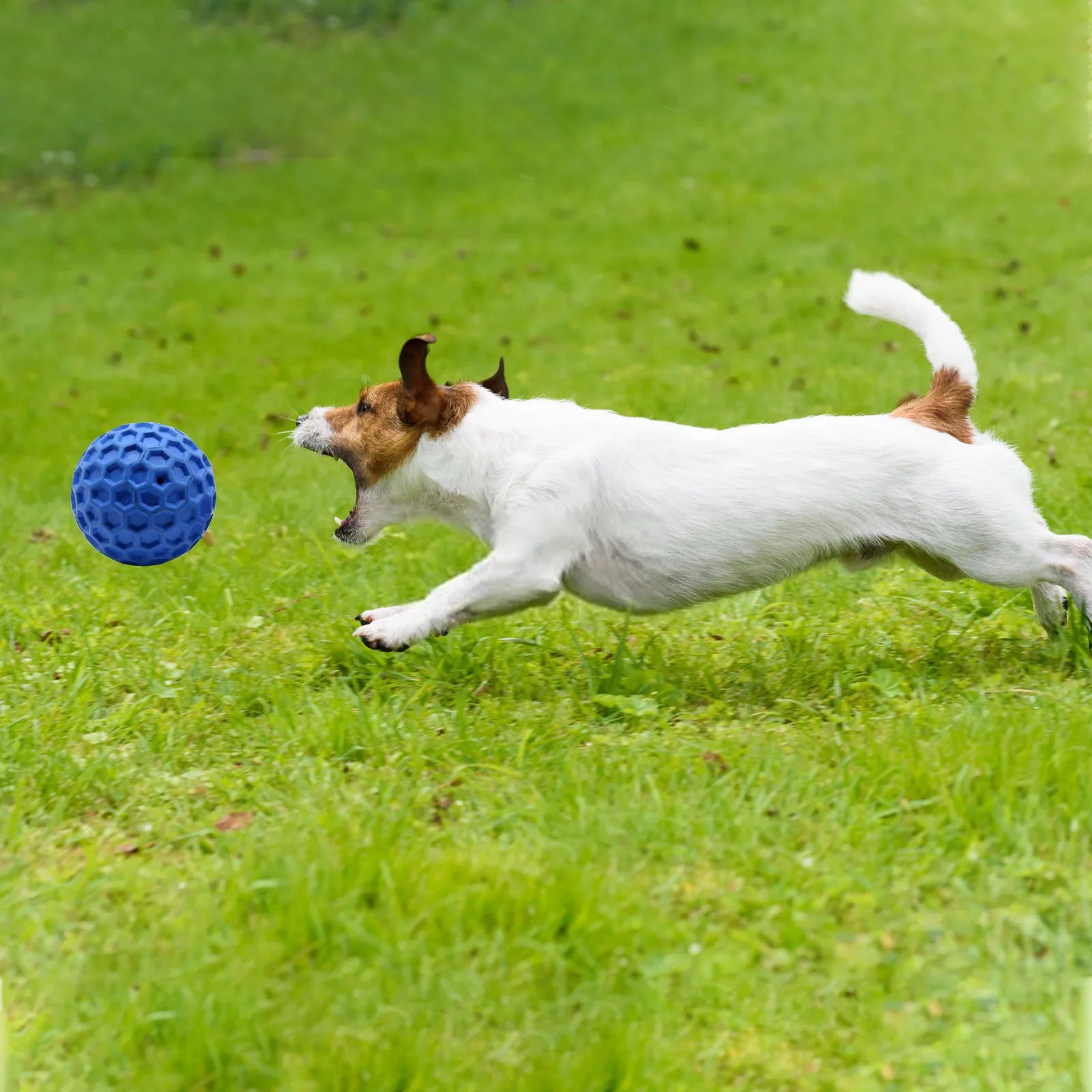 55/65mm Squeaky Dog Toys For Aggressive Chewers, Indestructible Dog Balls For Aggressive Chewers, Squeaky Balls For Dogs