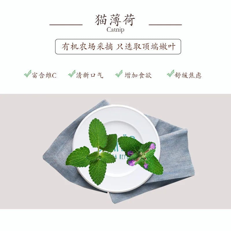 Organic 100% Natural High Quality Catnip Cattle Grass Mint Taste Funny Cat Toy New Cat Toy Interactive Cat Toys Pet Supplies