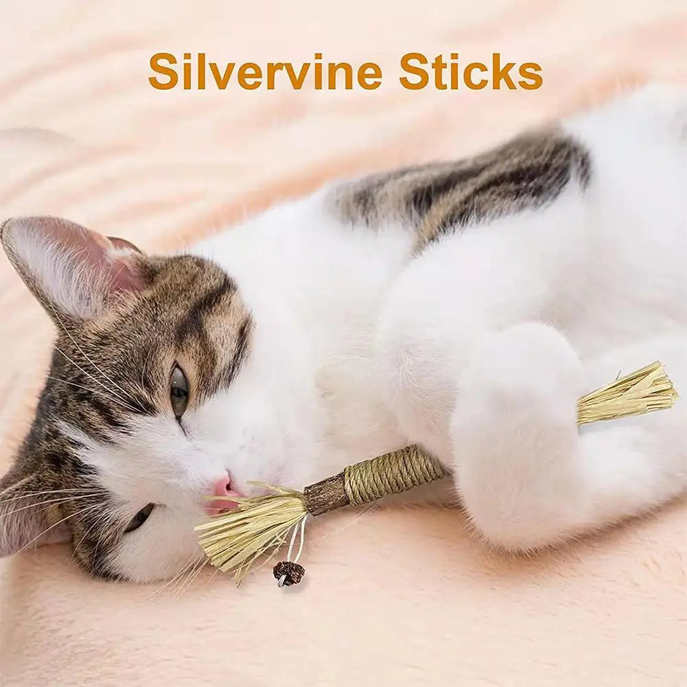 Cat Toys Cleaning Teeth Silvervine Chew Stick Pet Snacks Sticks Natural Stuff with Catnip for Kitten Catnip Teasing Chew Toys