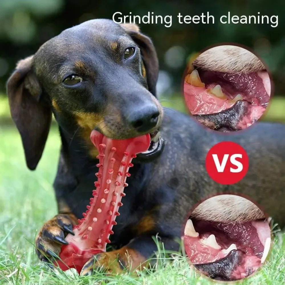 Dog Toys Teeth Sharpening Cleaning Dog Bones Natural Rubber Training Stiff Durable Chew Toys for Medium Large Dogs Pets Supplies