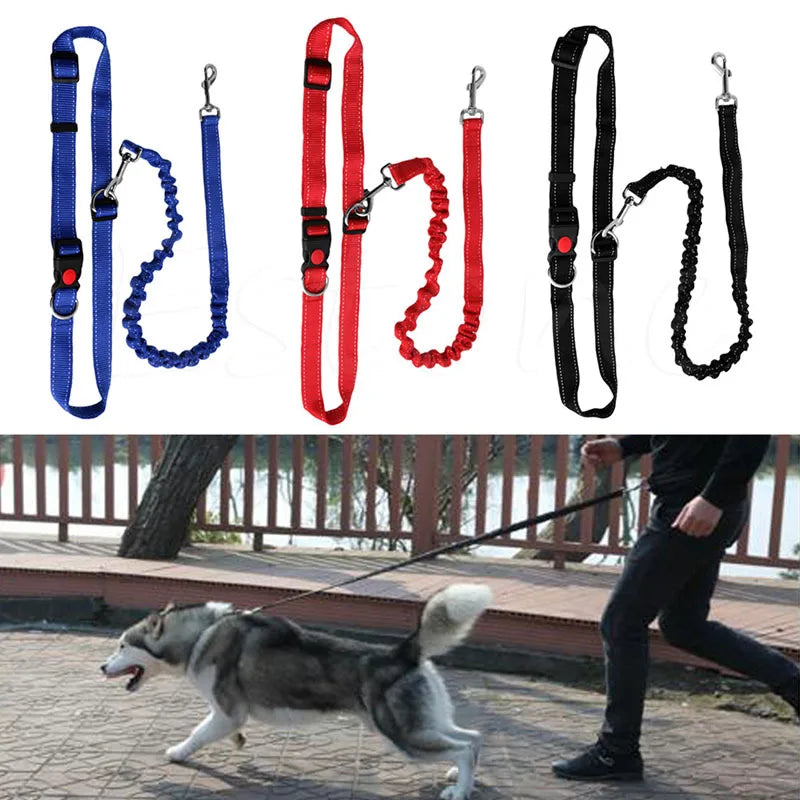 Hand Free Dog Leash for Pet Walking Running Jogging Adjustable Dog leash Chest Strap Waist Belt Traction Rope Dog Accessories