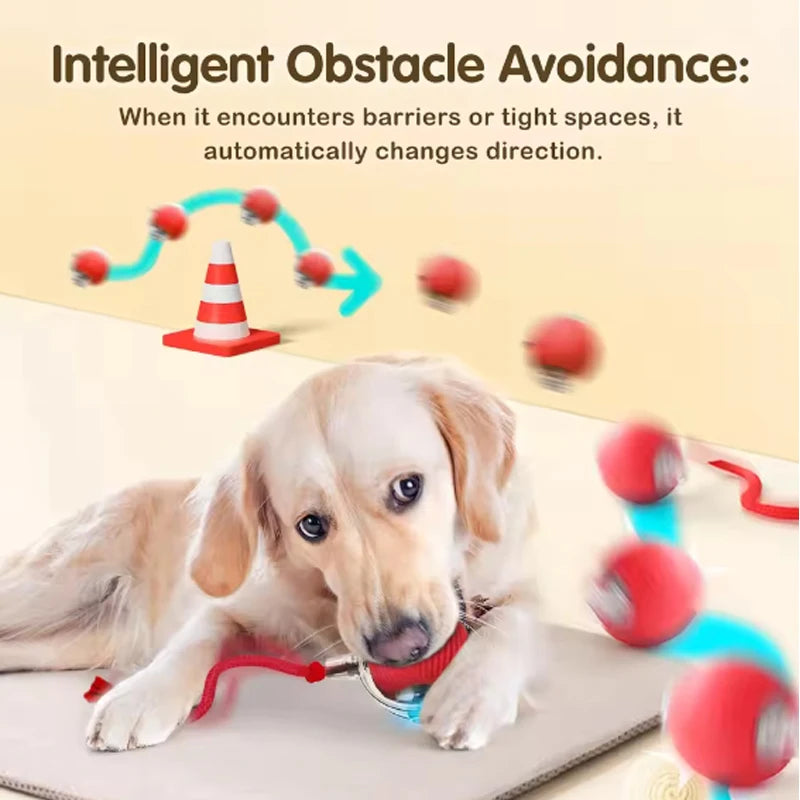 Self-satisfied cat toys that can be bitten by long-lasting smart cat balls automatically avoid pets with ropes and jump balls