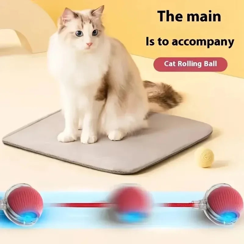 Cat Toys Interactive Ball  Automatic Rolling Dog Toys Faux Tail Rechargeable Smart Pet Electric Toy Cat Training Imitate Mouse 5
