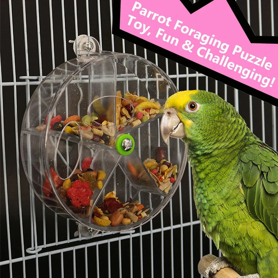 Rotate Pet Parrot Toys Wheels, Bite Chewing Birds Foraging Food Box Cage Feeder, Birds accessoires