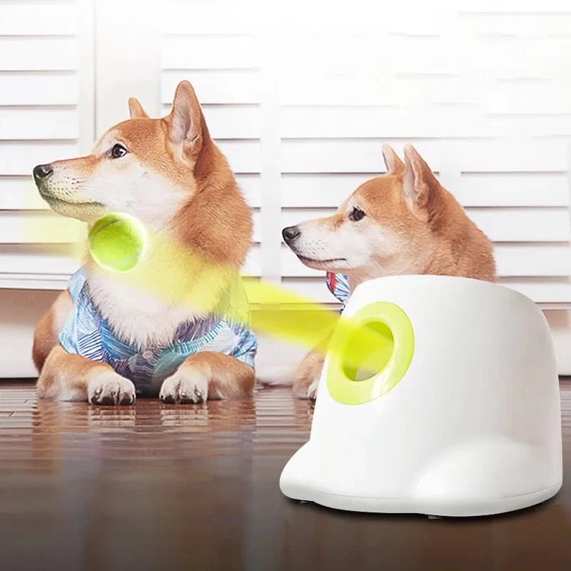 Automatic Pet Feeder Interactive Take Tennis Launcher Dog Training Toy Fun Ball Throwing Machine Teddy Corgi Shiba Inu Dog Toys
