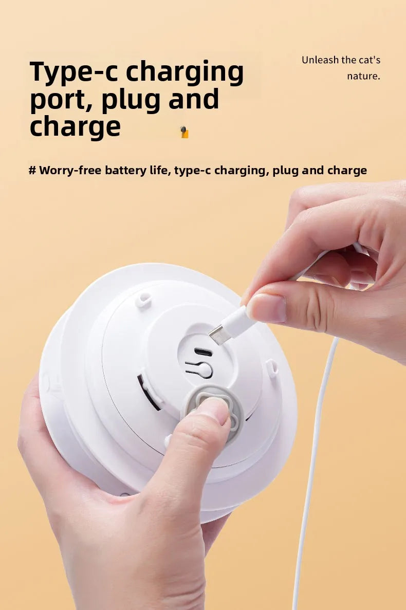 Cat Toys Interactive Hide and Seek Cat Toy with Mouse Squeaky Motion Activated Moving Concealed Feathers Kitten Teaser Toy