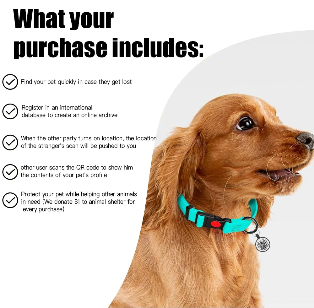 qr code placa nombre perro Dog Accessories QR Dog Tag Pet Tags No Subscription Online Pet Contact, Scan Trace Instant Location