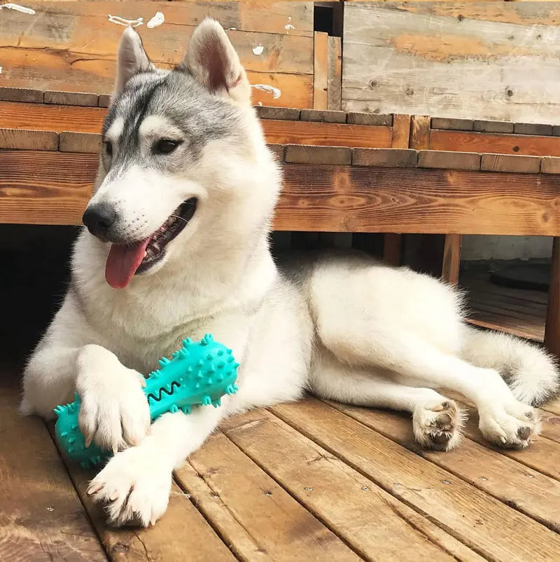 Rubber Dog Chew Toy Teeth Cleaning Pet Toothbrush Chewing Stick Toys for Dog Chew Toy Elasticity Soft Pet Tooth Cleaning