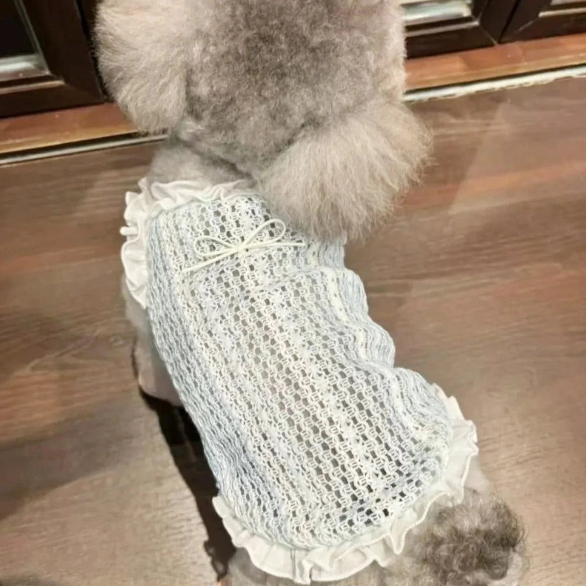 Dog Clothes Summer Cooling Cat Clothing Lace Puppy Sleveless Soft Dog Vest for Chihuahua Cute Cat Vest Dog Accessories