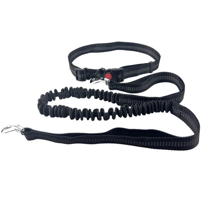 Hand Free Dog Leash for Pet Walking Running Jogging Adjustable Dog leash Chest Strap Waist Belt Traction Rope Dog Accessories