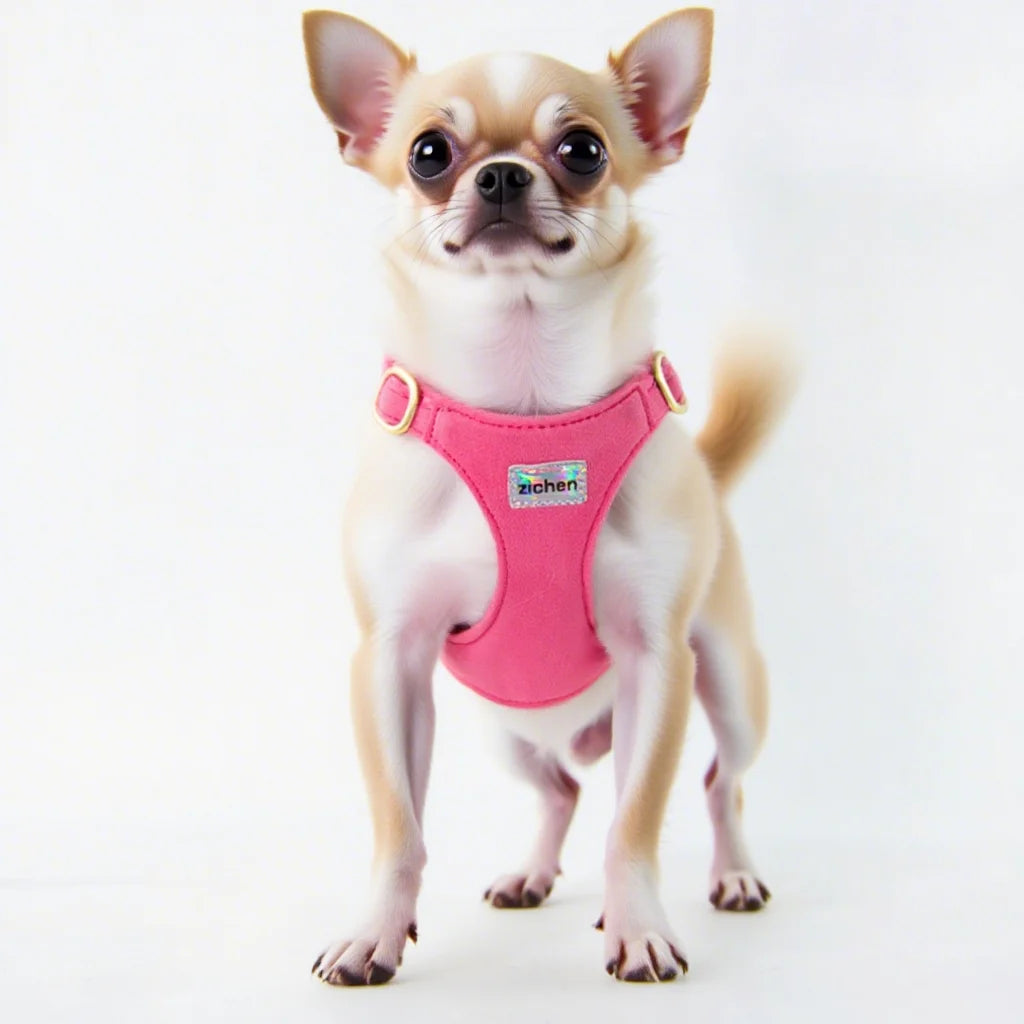 Newest Puppy Dog Harness and Leash Set for Small Dogs Adjustable Pet Harnesses Chihuahua Poodle Bichon Cat  Accessories