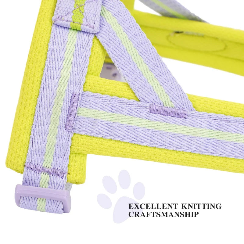 OODUDUOO Summer Saddle-Style Dog Harness with Leash for Small to Medium Dogs  Corgis  French Bulldog  Chihuahua Dog accessories