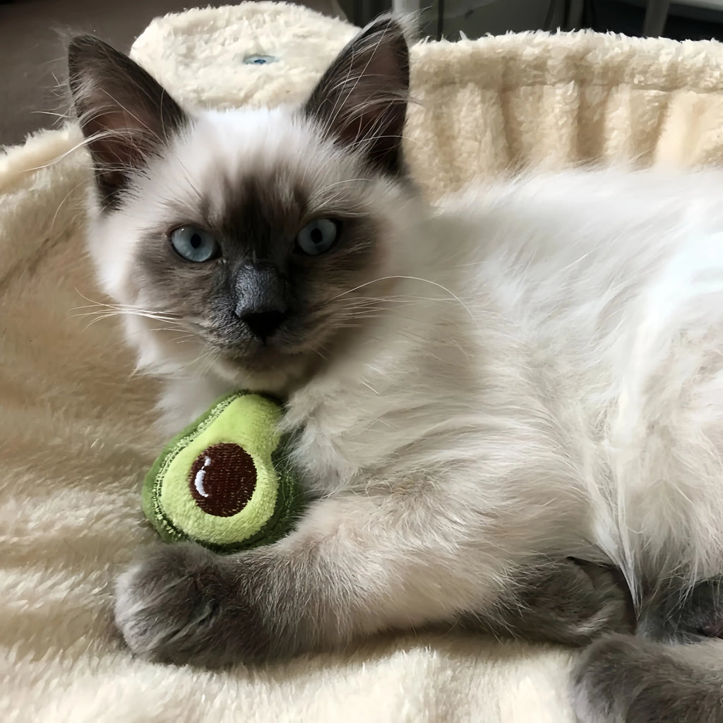 Pet Cute Plush Toy Set Cat Toy With Catmint Kitten Catnip Toy With Scent Cat Mini Catnip Toy Chewing Teeth Grinding Pet Supplies