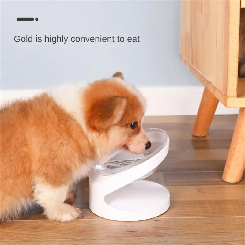 Pet Bowl Food And Water In One Place. The Actual Dog Accessories Highest Evaluation Anti-spill Dog Water Bowl Feeder Cat Tray