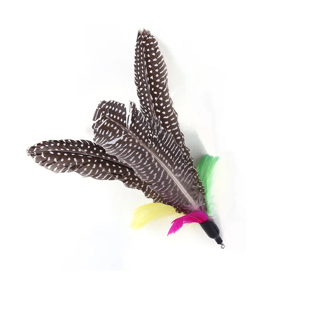 10 Pack Retractable Fishing Rod Funny Cat Stick Caterpillar Feather Replacement Head Cat Toy Cat Toys Interactive Pet Products