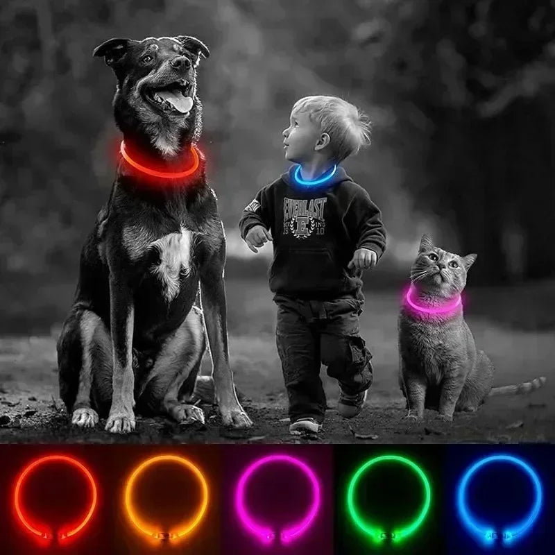 Led Dog Collar Luminous Usb Cat Dog Collar 3 Modes Led Light Glowing Loss Prevention LED Collar for Dog Pet Dog Accessories